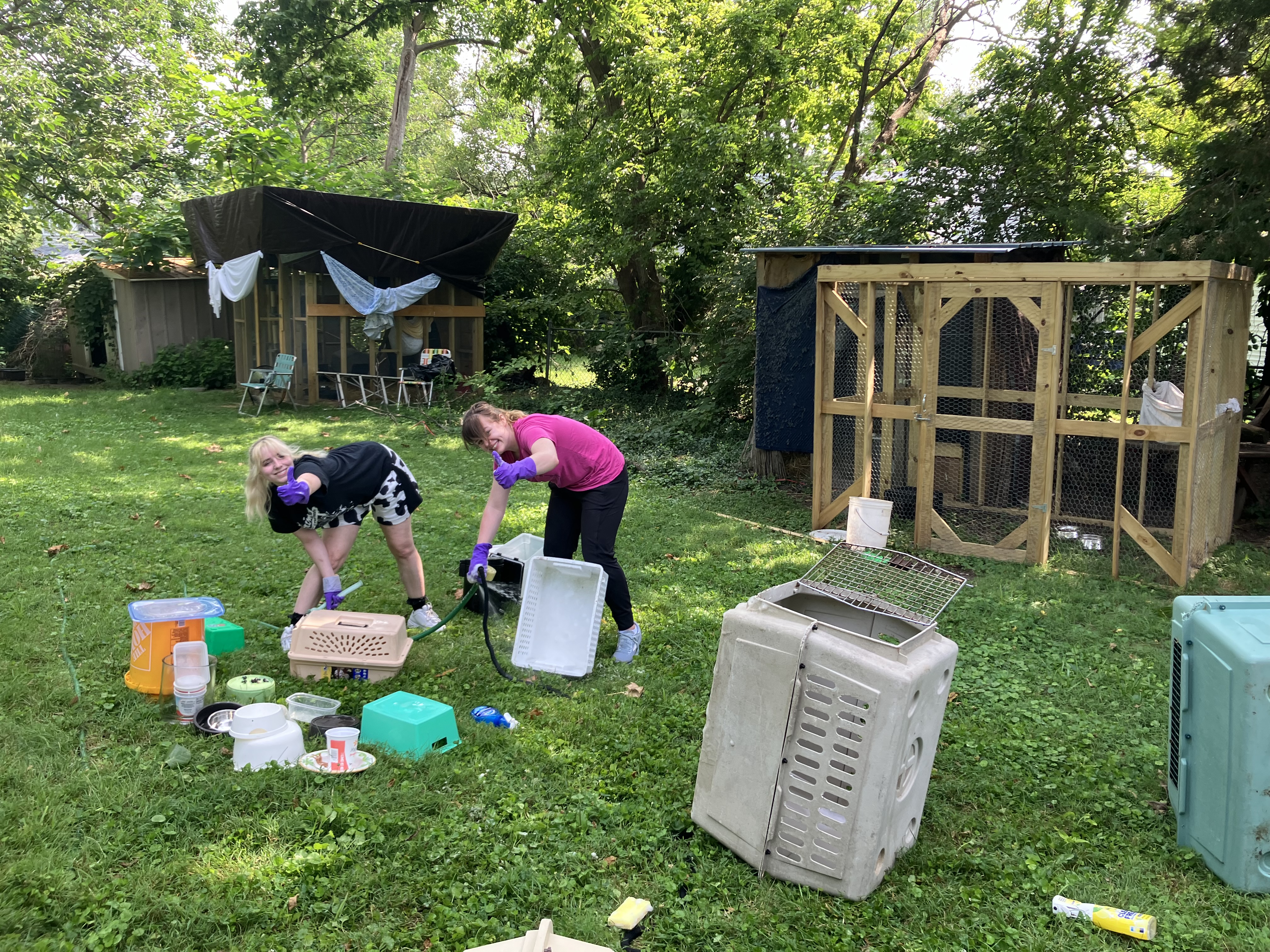 this was super gross